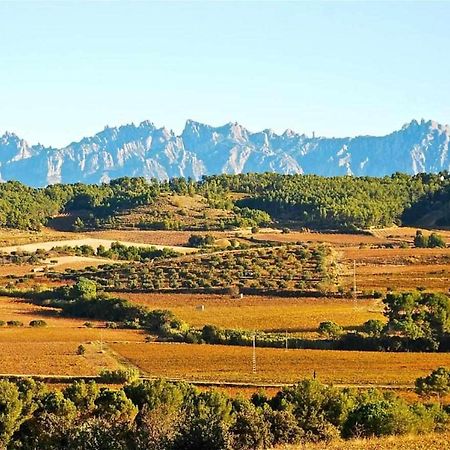 Hotel Rural Hd Riudebitlles Art I Allotjament Sant Pere de Riudebitlles Buitenkant foto