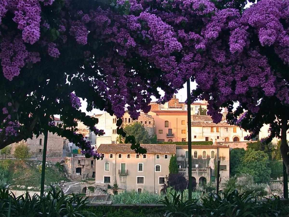 Hotel Rural Hd Riudebitlles Art I Allotjament Sant Pere de Riudebitlles Buitenkant foto