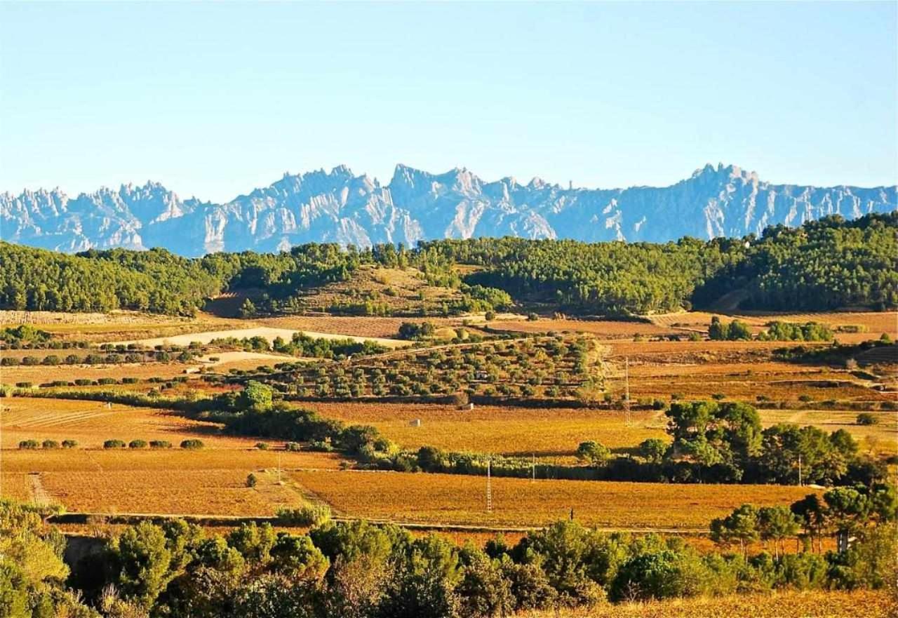 Hotel Rural Hd Riudebitlles Art I Allotjament Sant Pere de Riudebitlles Buitenkant foto